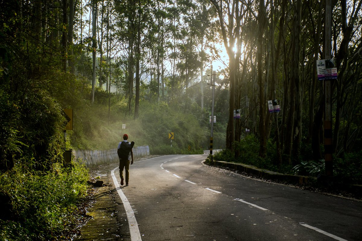 Morning rays...

In frame-<a href="/Hinson44839511/">Hinson</a>

#traveller #natgeoyourshot #yourshotphotographer #positivevibes #incredibleindia #photographers_of_india #roadtrip #salem #yercaud #nikond5300 

@tripotocommunity @betterphotography @spmagazineofficial <a href="/ttdcofficial/">Tamil Nadu Tourism Development Corporation</a> <a href="/wowtamilnadu/">Wow Tamilnadu</a>