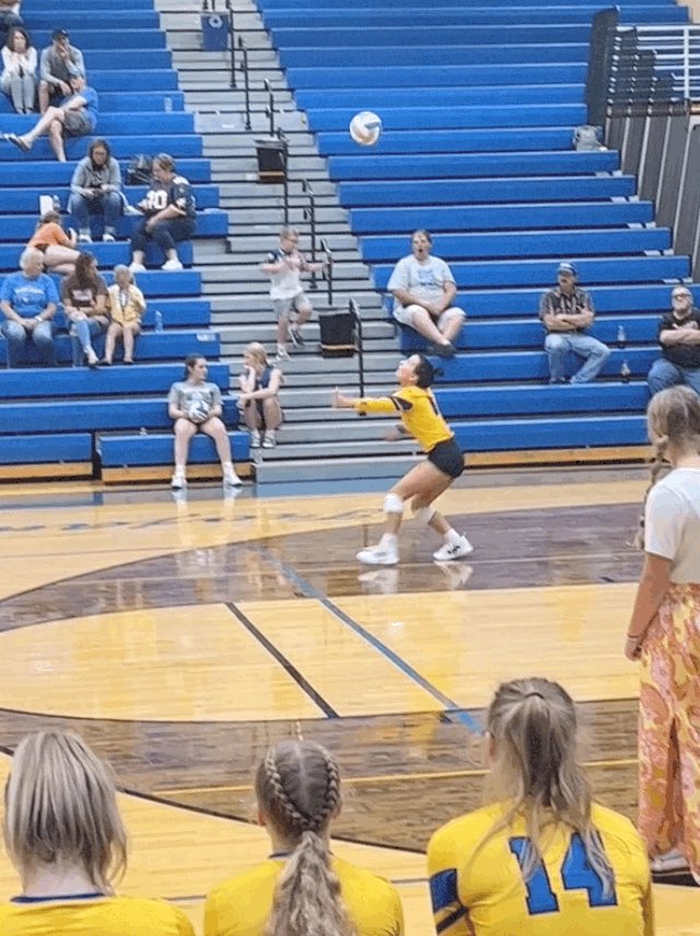 baltic volleyball tweet media