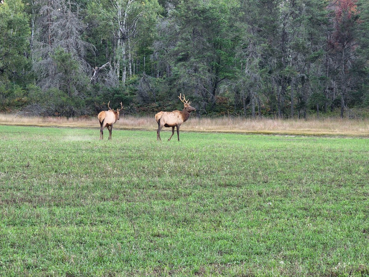 LPSManthei's tweet photo. The view tonight at Canada Creek Ranch. https://t.co/YwcCtkPx8T