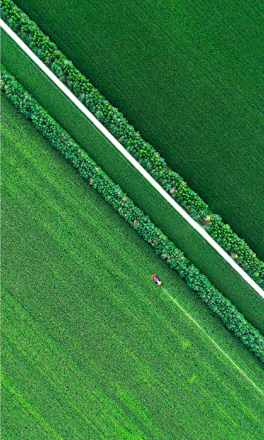 XIEYongjun_CHN's tweet photo. Green is gold. https://t.co/O5S6xerH8L