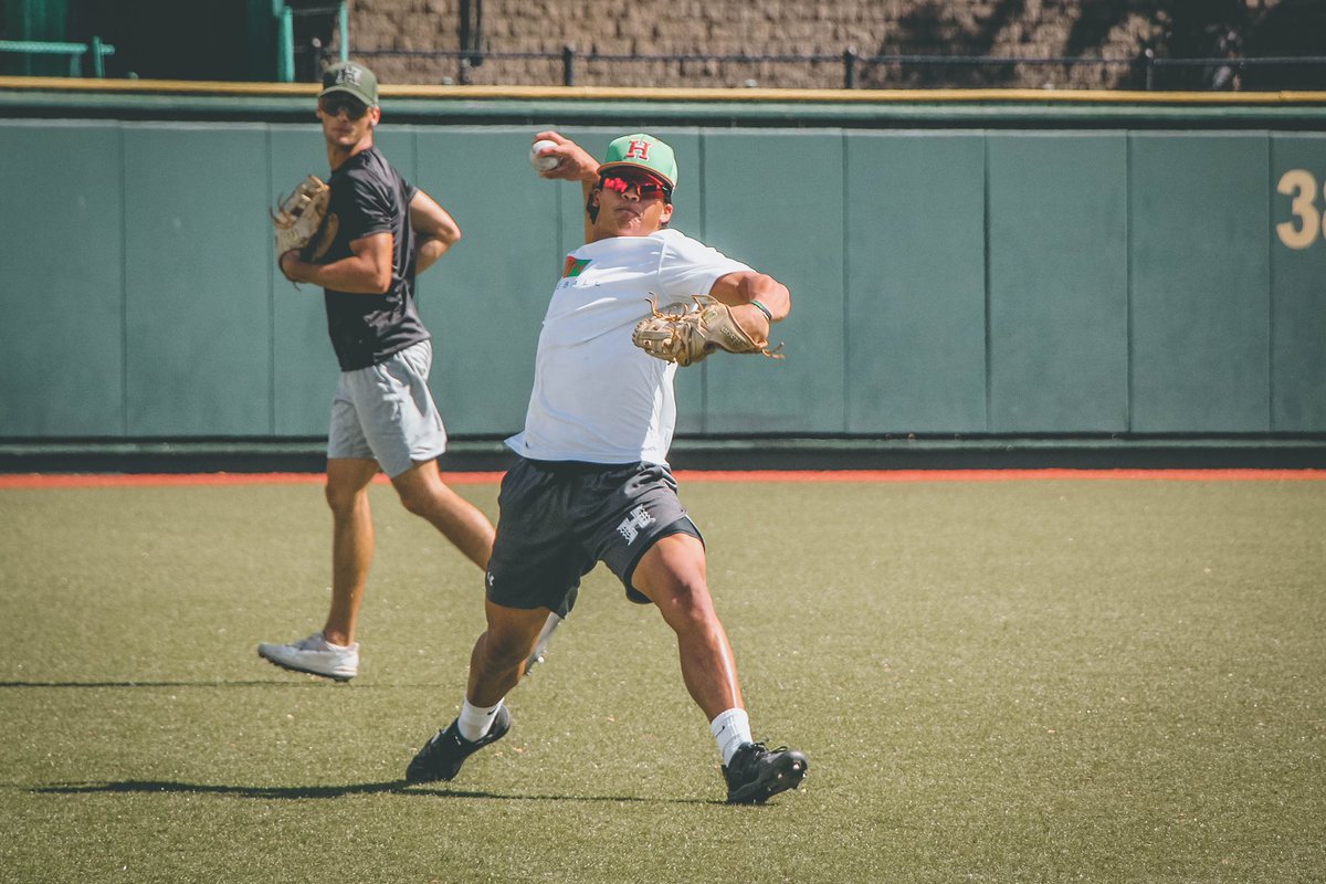 Hawaii Baseball tweet media