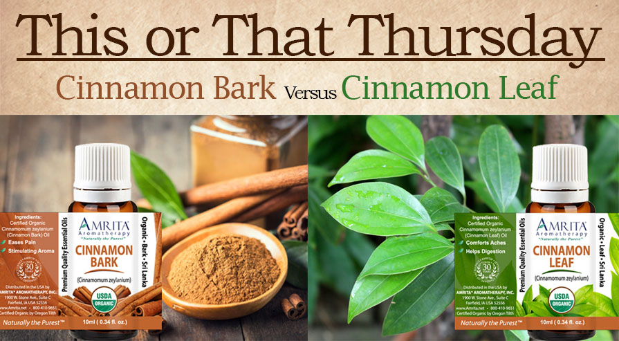 AromaTweets's tweet photo. Happy Thursday!😀Want to know more about Cinnamon Bark🌴versus Cinnamon Leaf?🍃https://t.co/mU8YFGoS37

#ThisOrThat #Cinnamon #CinnamonBark #CinnamonLeaf https://t.co/OvZmnCbE9d