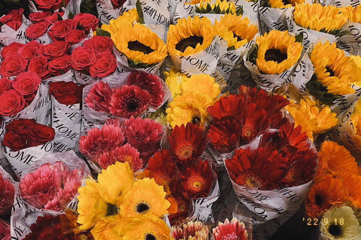 summerfr0mchm's tweet photo. 💐🍝 https://t.co/0zdHs57mlt