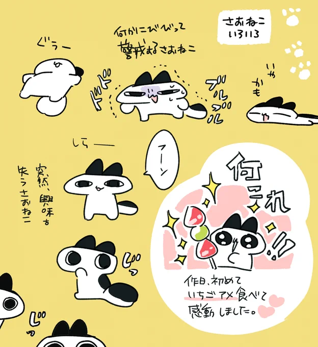 そういえば、昨日はじめてイチゴ飴を食べました
あんまり美味しくてビックリしました。こらみんな好きなわけだ

#さおねこ 