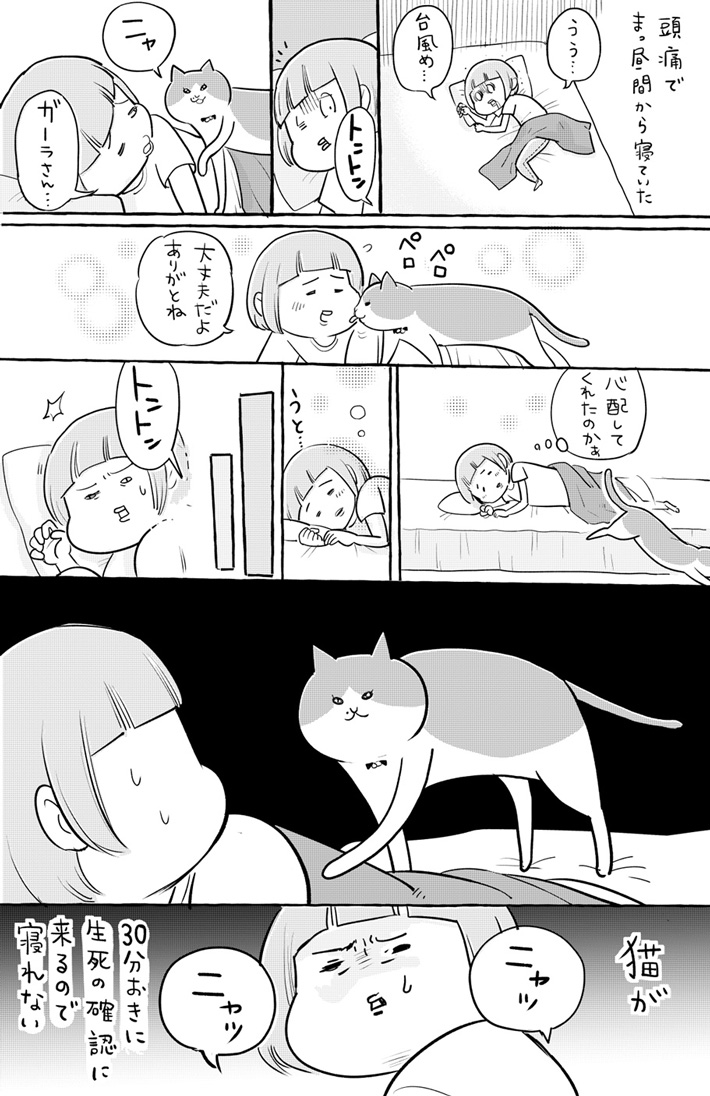 飼い主思いの猫 「ありがとう」と感謝するも、その後? https://t.co/JGv28AfJ3j @grapeejpより 