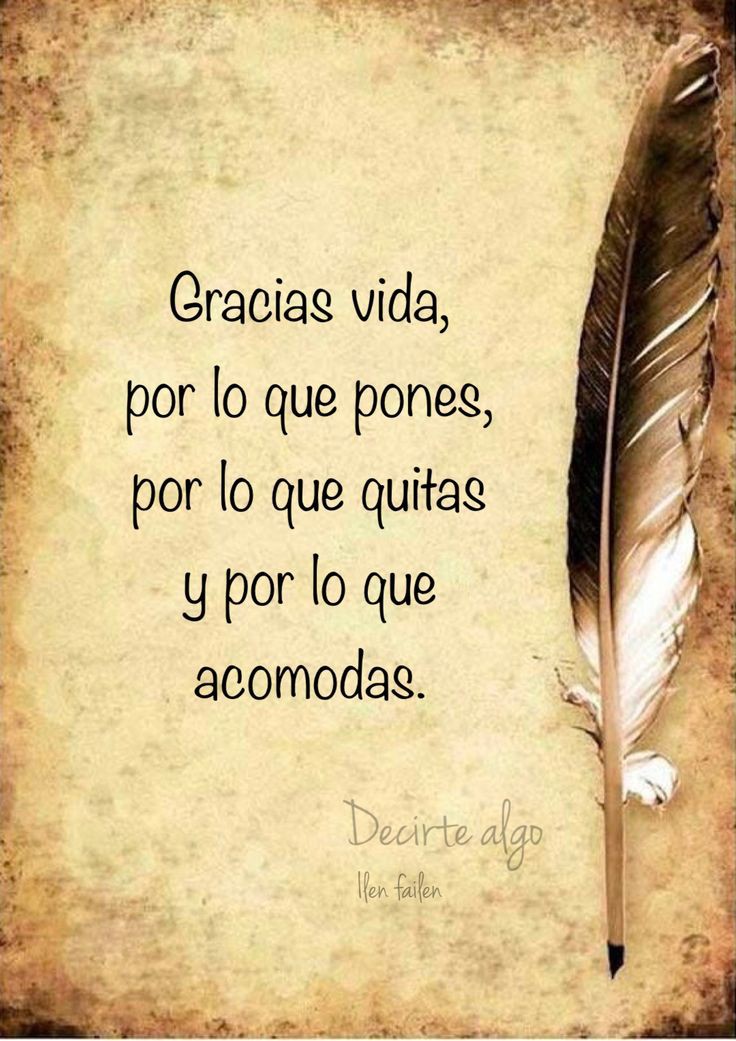 somosunicos01's tweet photo. Todo pasa por algo 🧐
Gracias vida ❤️🙏 https://t.co/lqgyUuFehH
