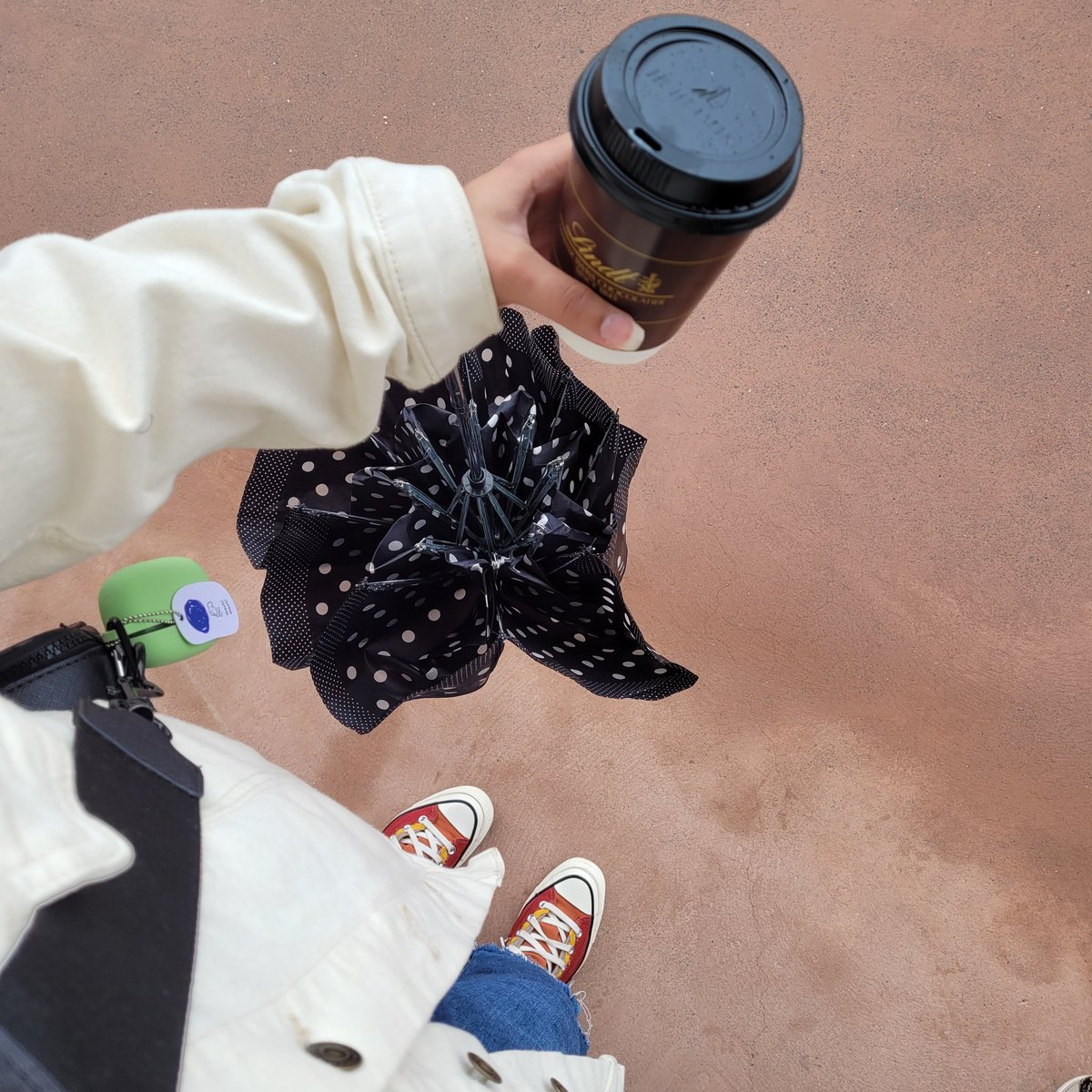 dazedstories 🐞 tweet media