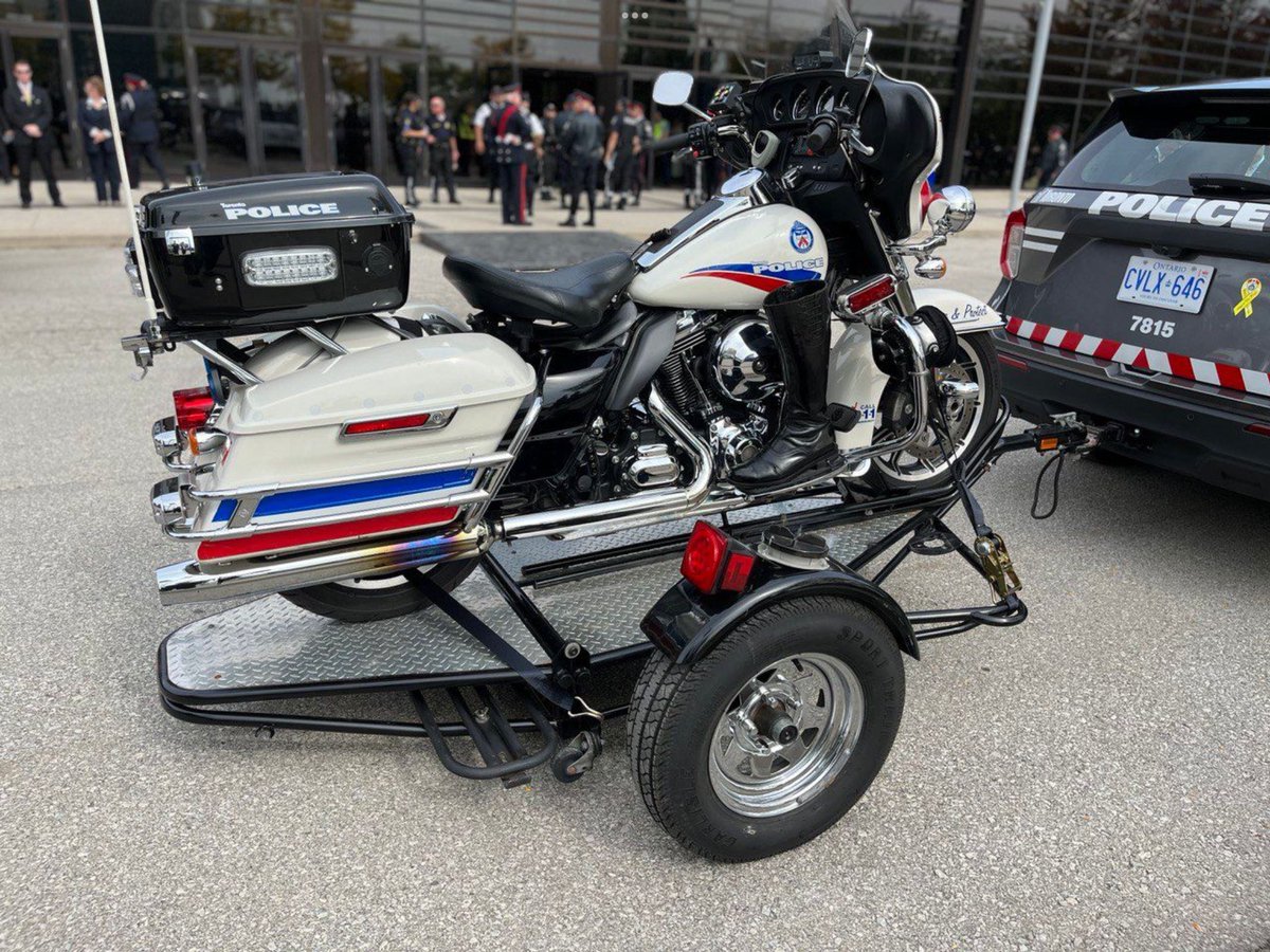 Adrian Woolley tweet media