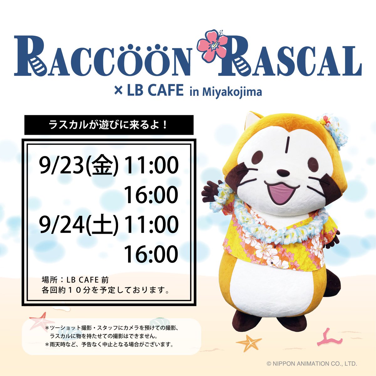 Rascal_tweet's tweet photo. 📢期間限定でコラボ中！
宮古島のLBカフェで、ごあいさつするよ～！(◆'ᗜ'◆)/

日時：9/23(金)、9/24(土)
時間：11:00、16:00　※各回約10分を予定しています。
場所：LB CAFE前

🌐https://t.co/J5ykDefy83

#ラスカル #localbase #宮古島 https://t.co/Qv4Hb4aZLY