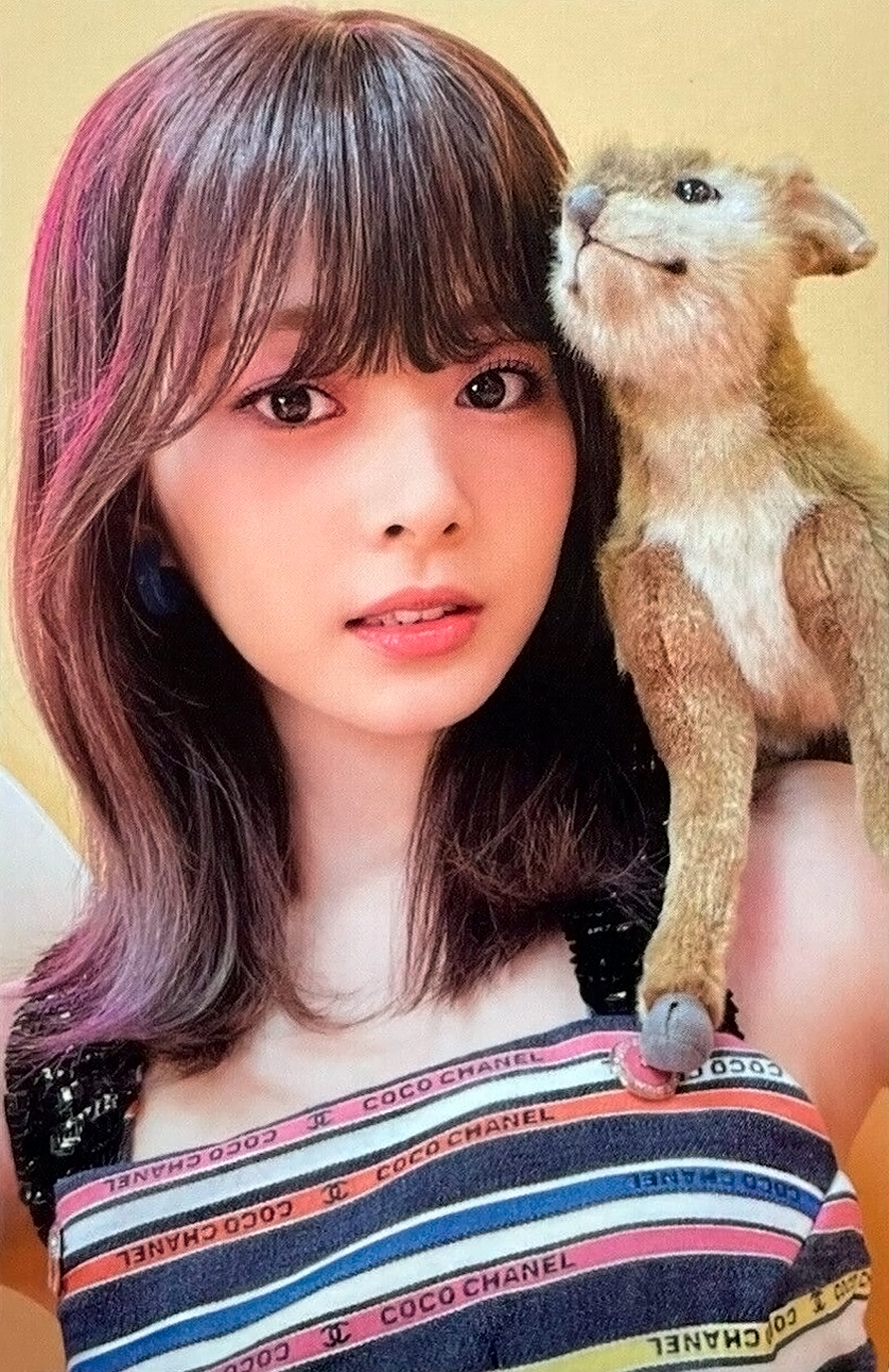 TWICE ツウィ tzuyu Between1&2 店舗特典 コンプリート Sweet 💜 Venus on X: 
