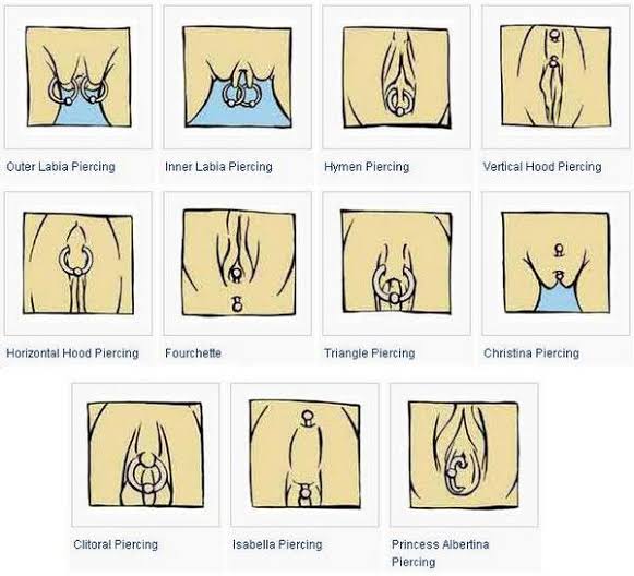 gurepukun_'s tweet photo. @taibiohazard @EfitiaLexa @criiistianaoliv Não por isso... Também existe piercing vaginal (inclusive clitoriano). https://t.co/Zy4reSp79i