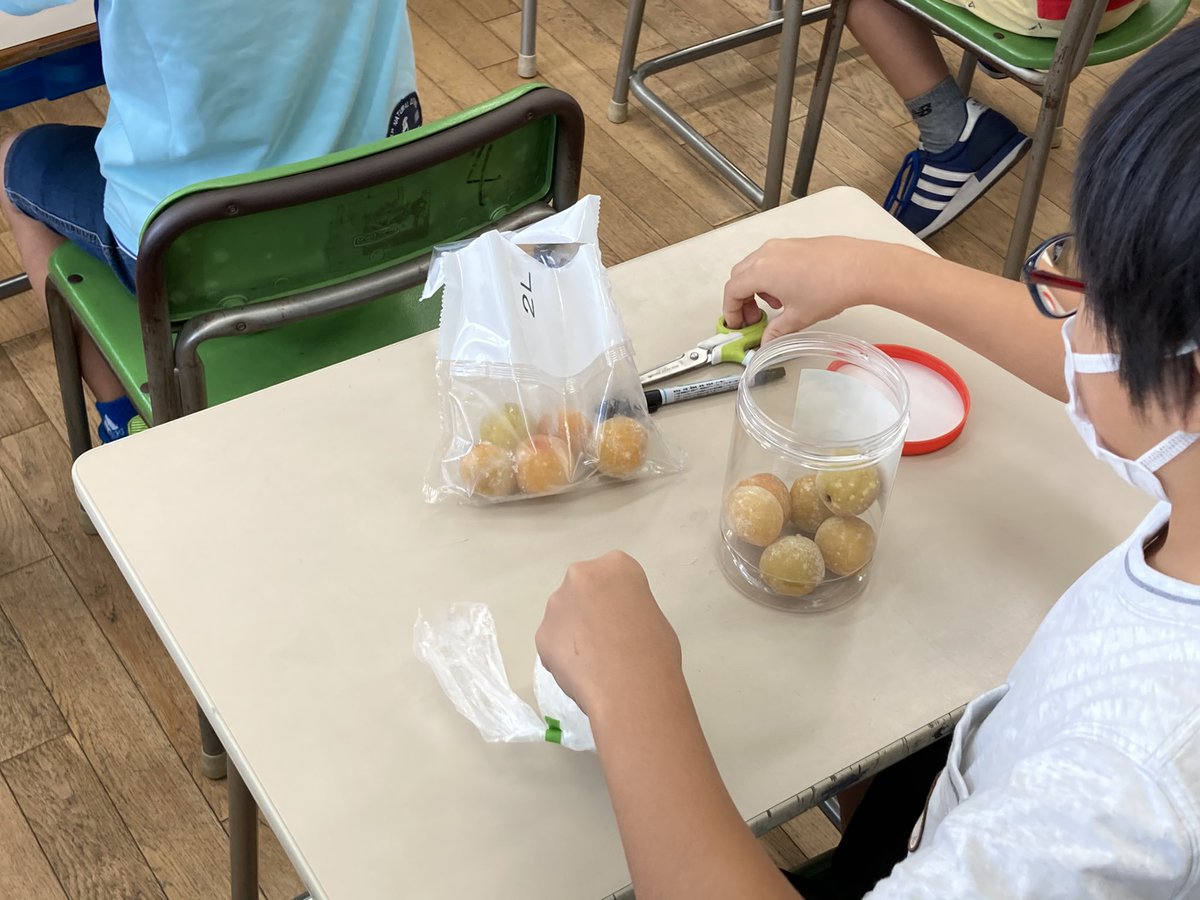 odaibagakuen's tweet photo. 3年生に梅パワー出前授業が行われました。和歌山県のみなべ町役場のうめ課長が講師としていらっしゃり、保存食としての梅干しができるまでの作り方や歴史を教えてくださいました。最後に、南高梅を使って一人ずつ梅ジュースを作りました。何日後かに家で飲むのが楽しみですね。 https://t.co/w41FfpQ7Mo