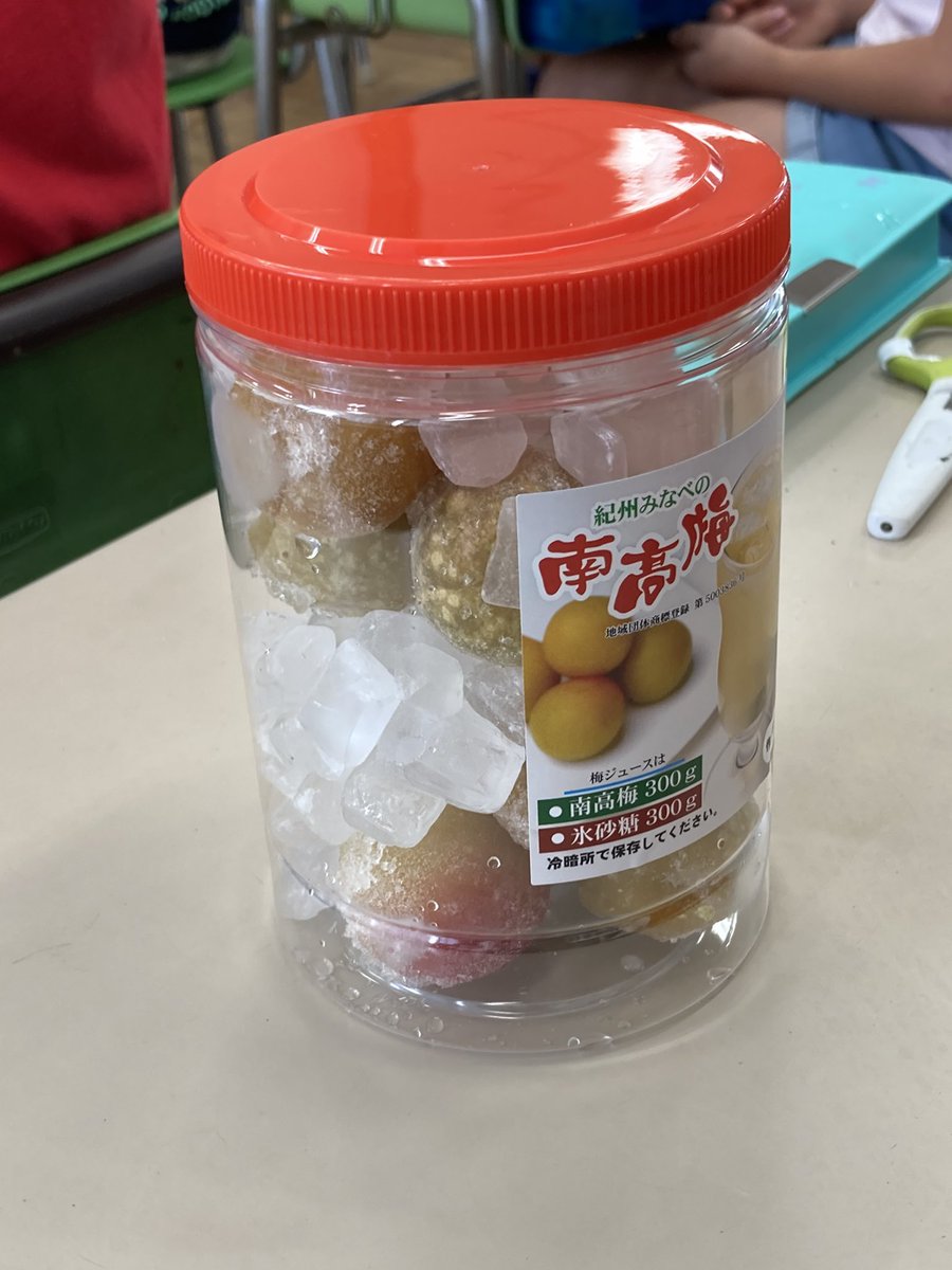 odaibagakuen's tweet photo. 3年生に梅パワー出前授業が行われました。和歌山県のみなべ町役場のうめ課長が講師としていらっしゃり、保存食としての梅干しができるまでの作り方や歴史を教えてくださいました。最後に、南高梅を使って一人ずつ梅ジュースを作りました。何日後かに家で飲むのが楽しみですね。 https://t.co/w41FfpQ7Mo