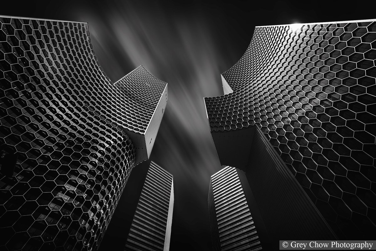 Grey Chow tweet media