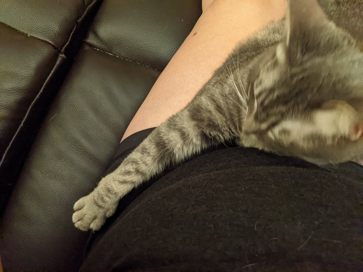 jhjones's tweet photo. Home after a few days using up my hip before hip replacement hopefully next month. 1️⃣ arrange cat. 2️⃣ cuddle with cat. #dragonkitty is the best kitty 😻😻😻😻😻 https://t.co/PRlfC1yrNw