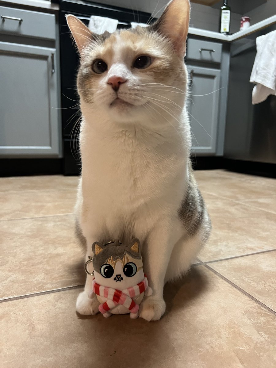 fatfatpankocat's tweet image. Mother and child