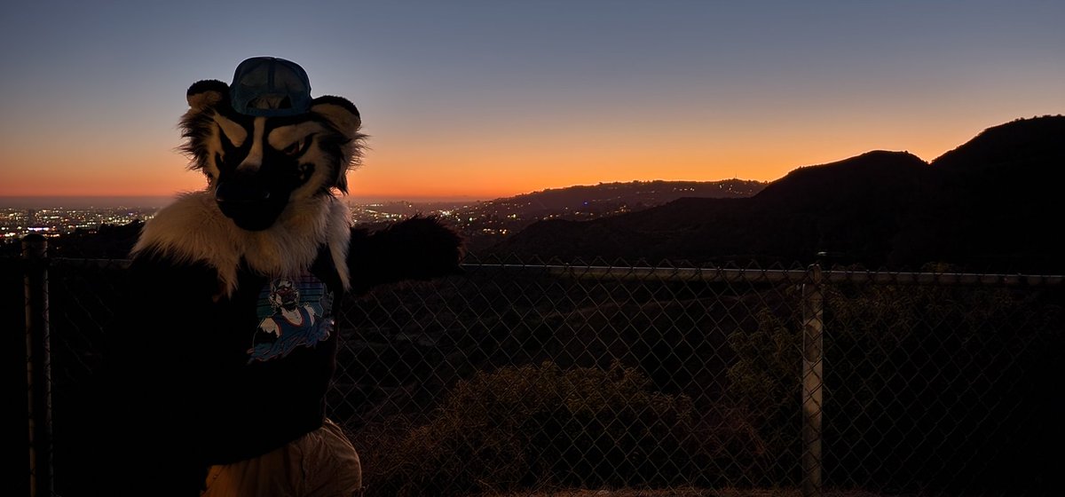 RadTalkinRex's tweet photo. Good evening, Los Angeles!

#furry #furryfandom #fursona #fursuit #fursuiter #goodtimes #havingfun #havingablast #havingagoodtime #California #LosAngeles #griffithobservatory #travel #traveling #exploring #crosscountry #scenery #mountains #mountainside https://t.co/QHZktwL51t