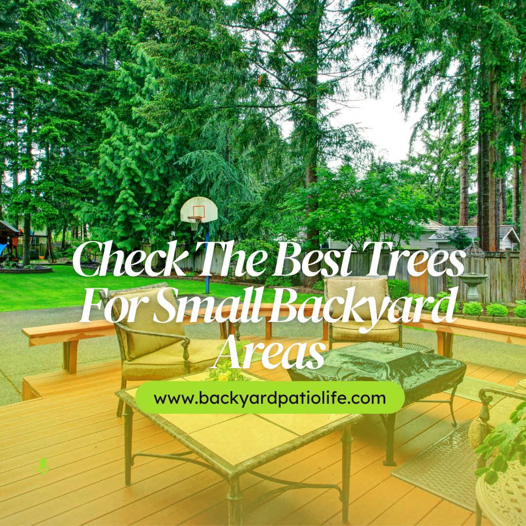 happybackyard's tweet photo. The #PerfectTree doesn't exist, but these little guys come close. Check out our list of the best trees for small backyard areas!
Click here: https://t.co/l7WqADU0UE
#treetalk #treeplanting #falltips #backyardideas #outdoorpatio https://t.co/xlbXQABrwb