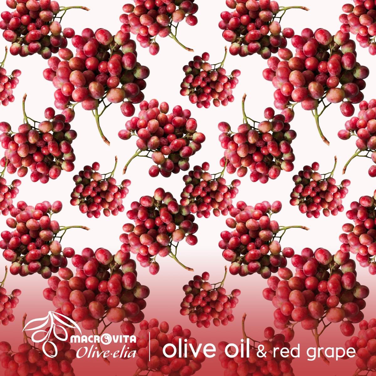MacrovitaCanada's tweet photo. Hair Conditioner with olive oil &amp; red grape eliminates static electricity, detangles and makes hair brushable preventing heaviness.
➡️https://t.co/kXKKdTddyf
#Olivelia #Hair #HairConditioner #OliveOil #RedGrape https://t.co/fI2Mh2K63j