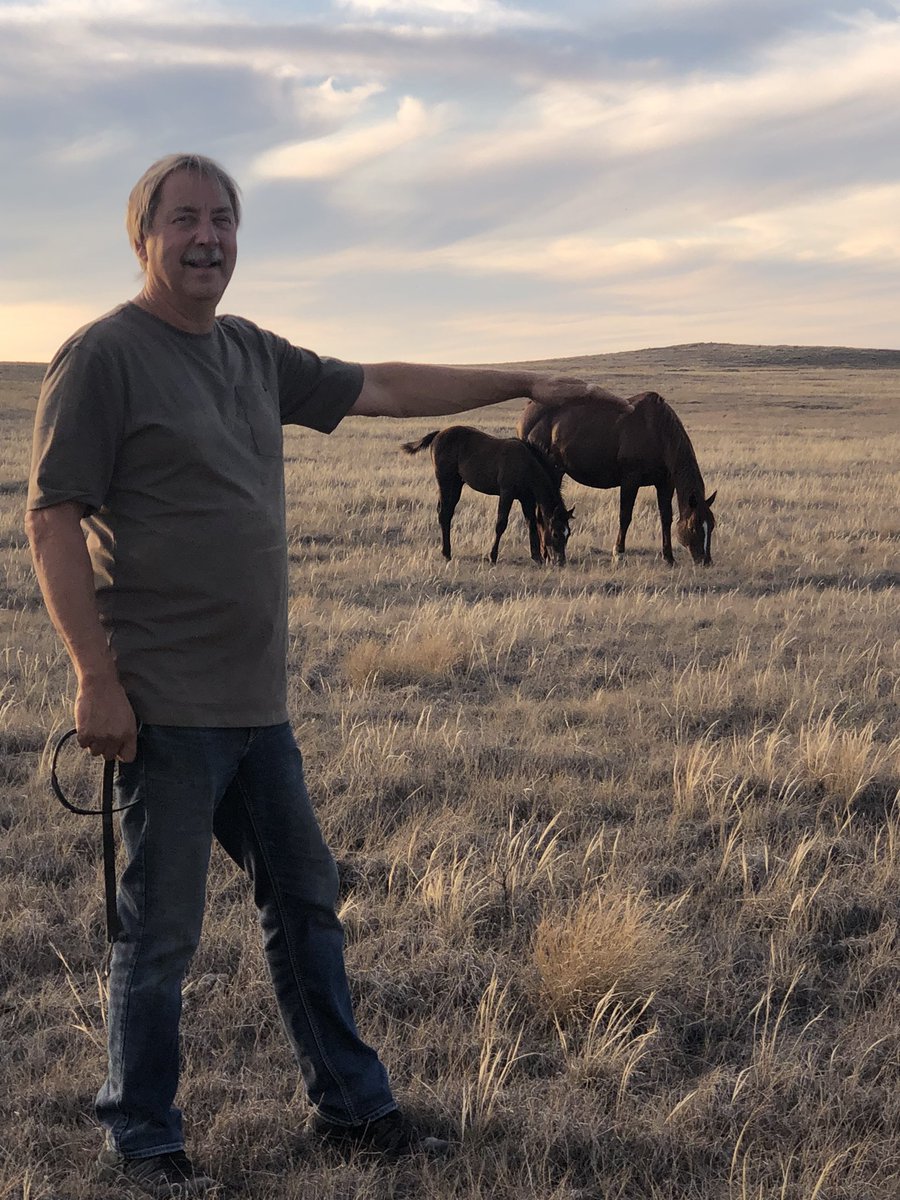 kim hartman tweet media