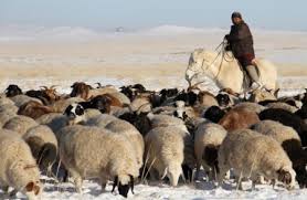 МАЛЧДАД БУРУУ БАЙХГҮЙ ЭЭ
Жижиг аягатай липтон цай 5-6к кофе 8к бхад 1кг аарц 5-6к байх нь буруу биш
Эрүүл мэндэд эсрэг нөлөөтэй бургер пицца 30-40к байхад Амин дэмтэй ааруул ээзгий ийм хэмжээний үнэтэй байх нь буруу биш