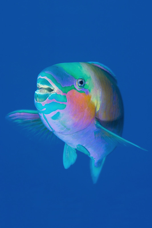 NancyJSaunders1's tweet image. 