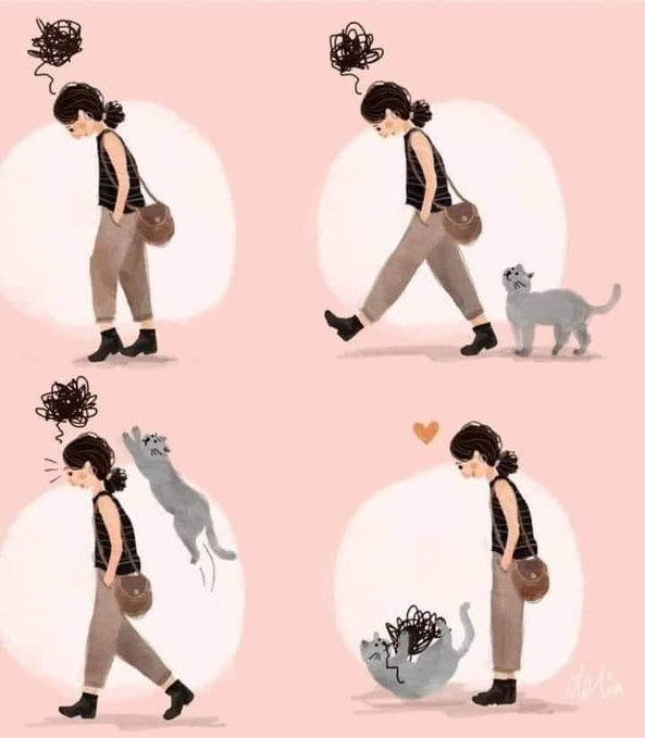 Irena Buzarewicz tweet media