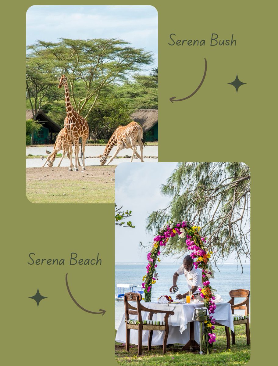 Holiday Finder tweet media