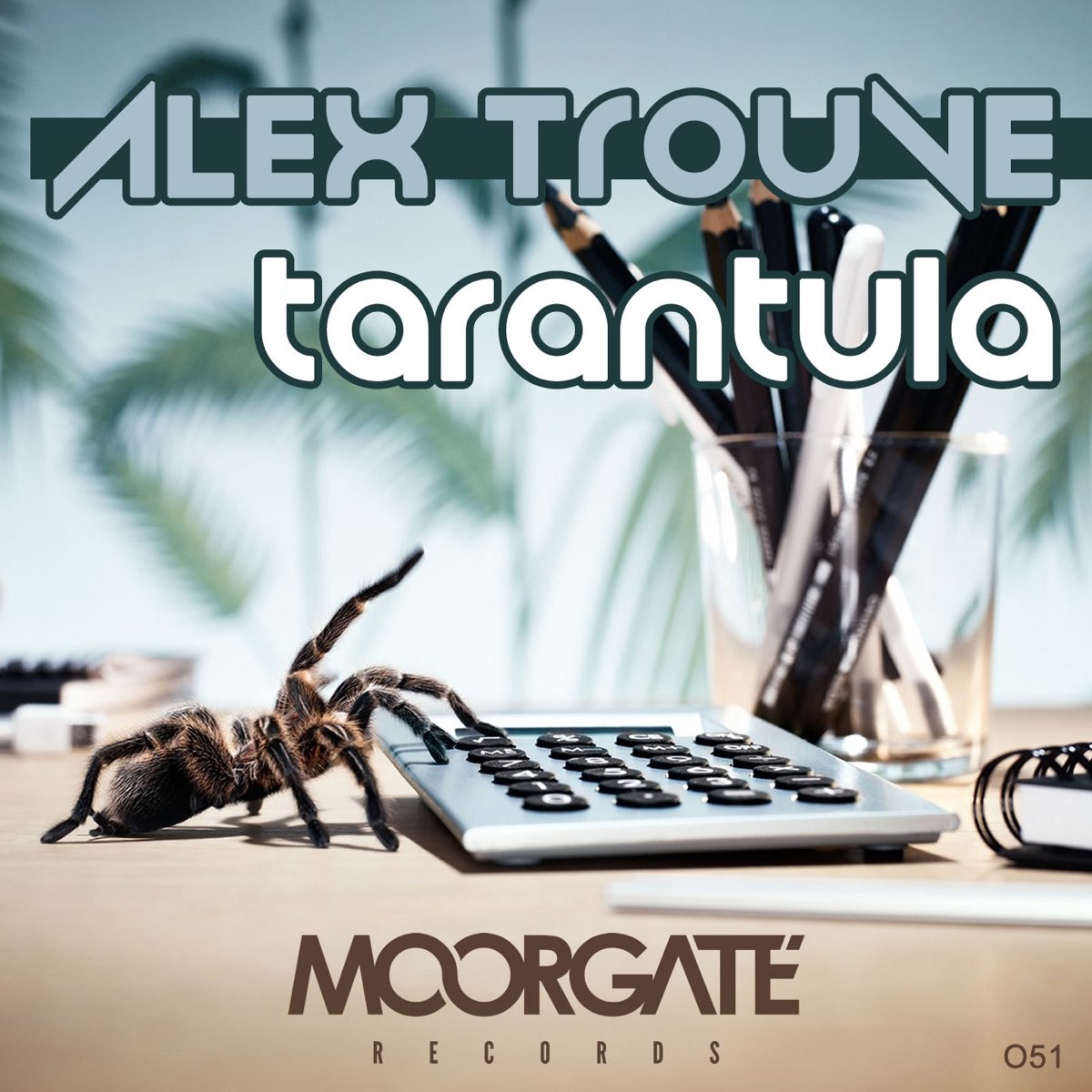 alextrouve's tweet photo. Here we are again ! https://t.co/zHLtjIDtBK