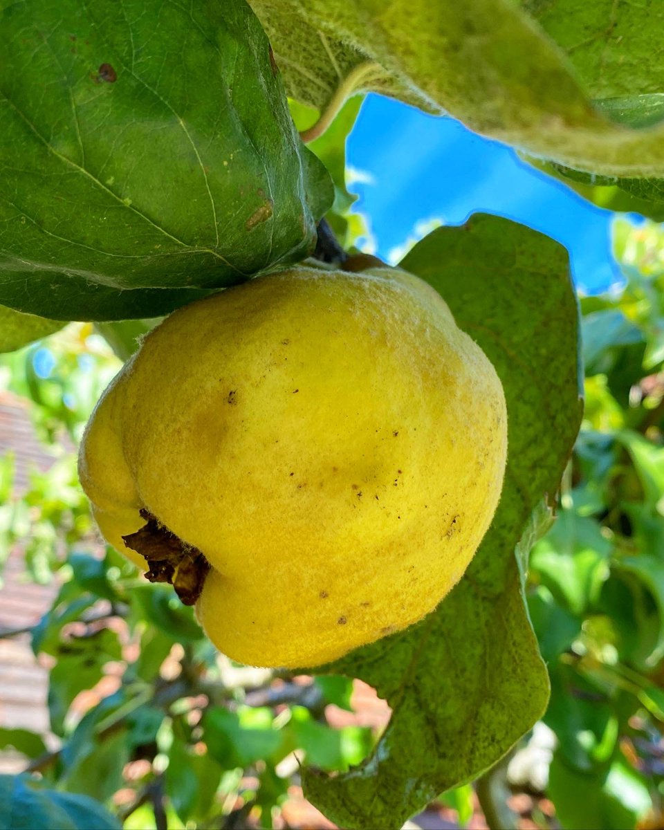 sam bilton tweet media