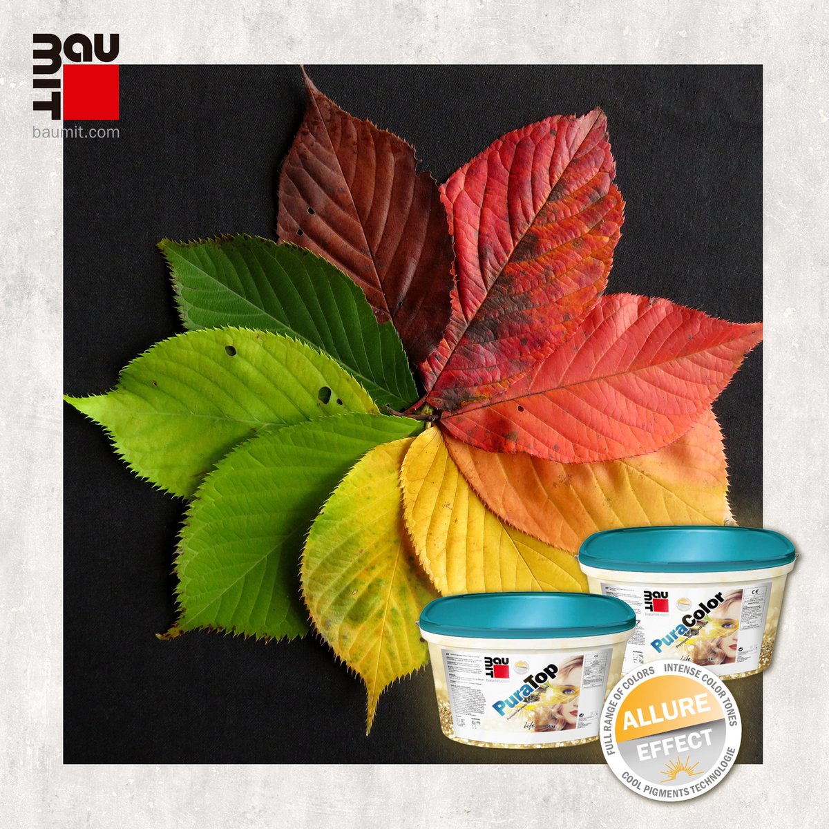 baumitspain's tweet photo. Presentamos Baumit PuraTop, un #revoco Premium con gran capacidad de cubrición, muy resistente e indicado para #colores brillantes e intensos. Máxima estabilidad cromática debido a una mayor concentración de pigmentos. Inspírate en los tonos otoñales.
👉https://t.co/TRct7Xg7v8 https://t.co/sGNoQu4ugN