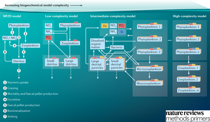 Nature Reviews Methods Primers (@methodsprimers) on Twitter photo New this week! Ocean biogeochemical models use coupled differential equations to describe the transformation of the ocean’s circulation, physical and biogeochemical properties under different conditions.
@ScottDoney1 @laurent_bopp <a href="/KatjaFennel/">(at)katjafennel(at)universeodon(dot)com</a>
👉 go.nature.com/3f7hmLC New this week! Ocean biogeochemical models use coupled differential equations to describe the transformation of the ocean’s circulation, physical and biogeochemical properties under different conditions.
@ScottDoney1 @laurent_bopp <a href="/KatjaFennel/">(at)katjafennel(at)universeodon(dot)com</a>
👉 go.nature.com/3f7hmLC
