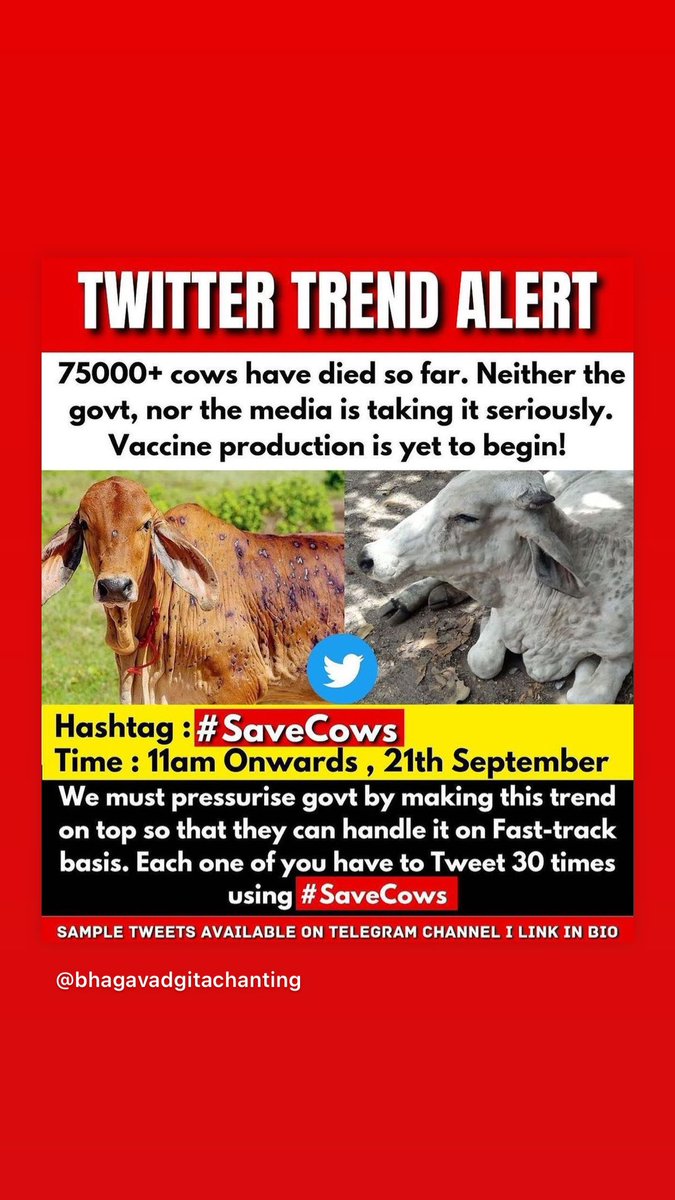 culeinthenorth's tweet photo. Rt maxxxx!! Please amplify
#SaveCowSaveVillages
#savecows #SaveCowSaveRajasthan #CowsNeedAttention #SaveCows #savecowsaveearth #SaveCowSaveIndia https://t.co/S9NiVYdyRg