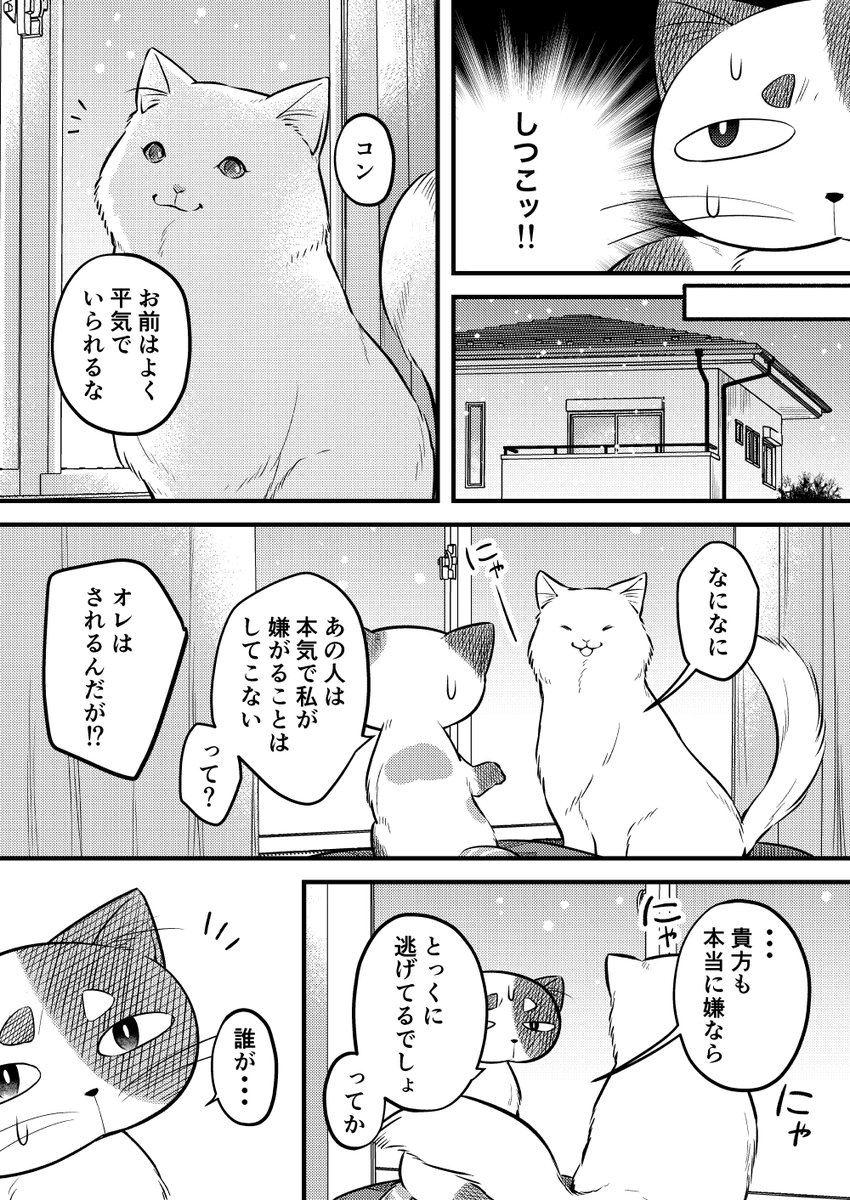 【再掲】100年生きた猫のはなし(3/5) 