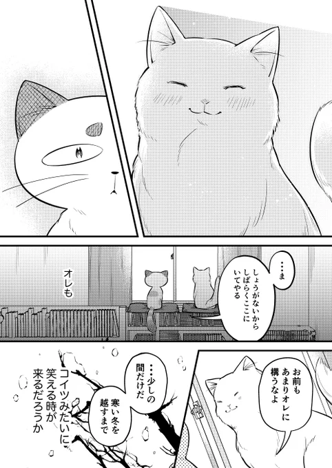 【再掲】100年生きた猫のはなし(4/5) 