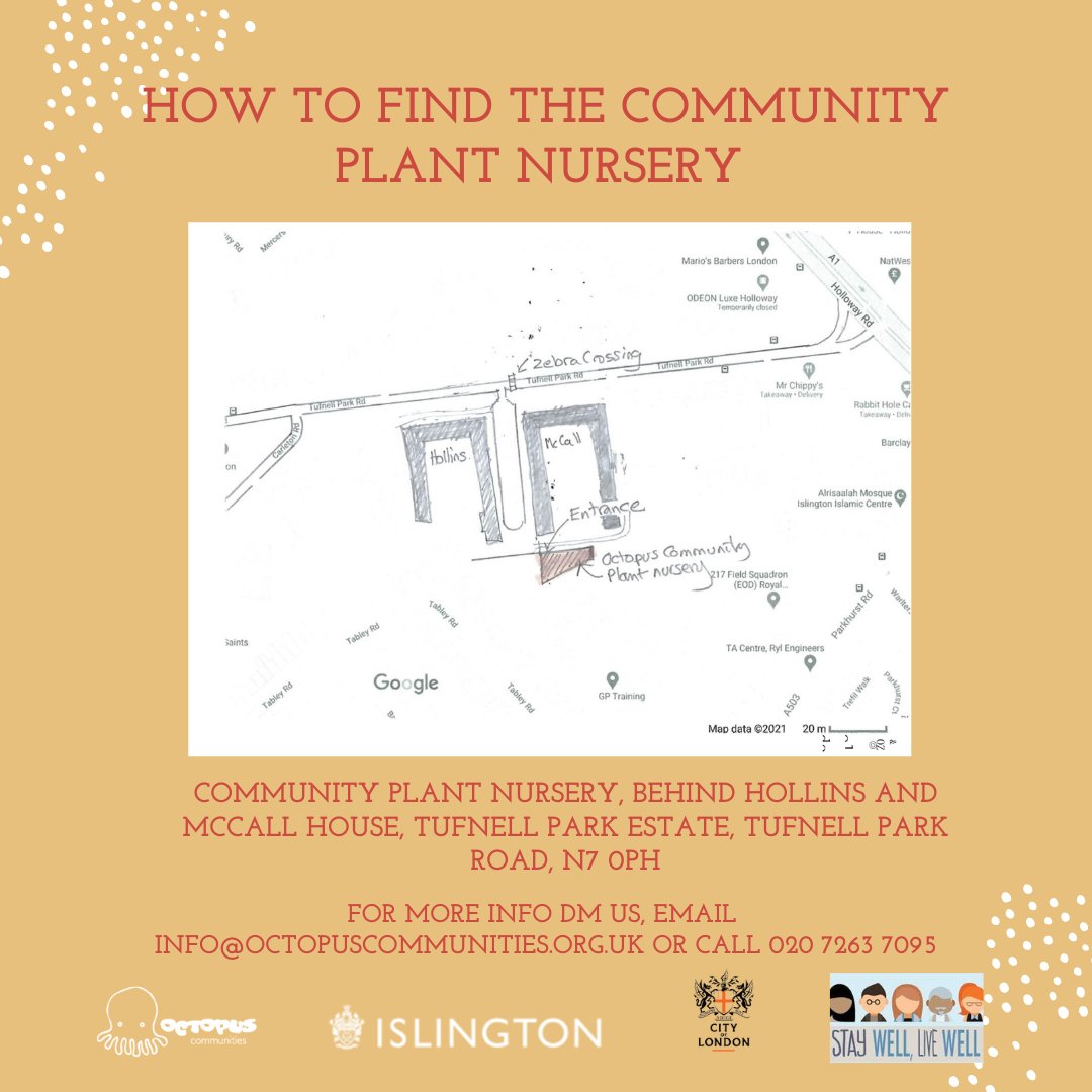 OctopusCN's tweet image. 🌟 Autumn Community Picnic tomorrow 🌟

Head over to the Plant Nursery for lunch!

#communityplantnursery #islingtonevents