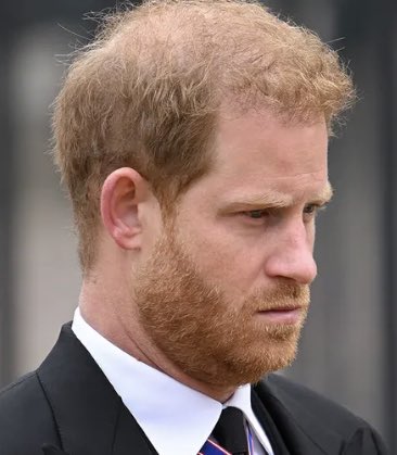 IzzWiz's tweet image. He’s not the heir,he is not even the heir’s heir. He may now be son of the King, but in a slimmed down monarchy he is way down the ranks &amp;amp; a non working Royal to boot. He was not humiliated, he was treated with respect, as per the rules by which a hierarchical monarchy operates