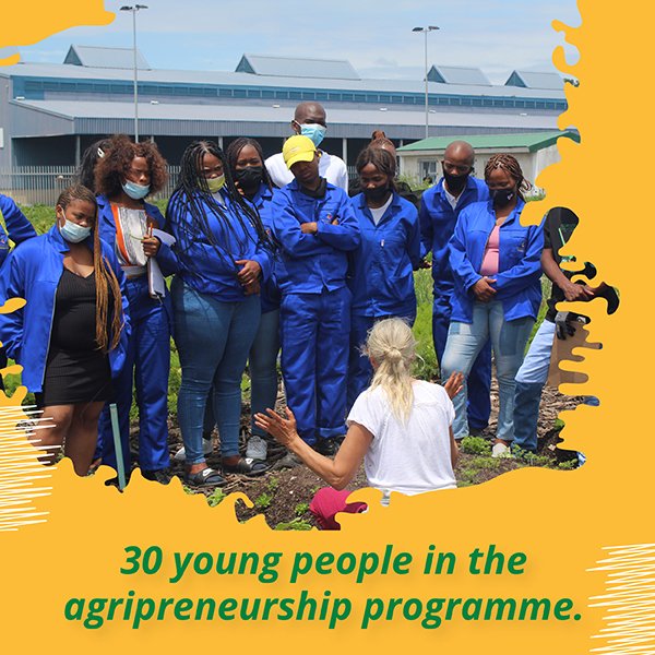 AfrikaTikkun's tweet photo. Our Urban Agripreneurship Incubation is intended to equip unemployed youth with the skills to launch their own agri-businesses. Over 25 young people participated in our agripreneurship programme.
OurImpact #SharedImpact #Agripreneurship #AfrikaTikkun https://t.co/2fVVBV9oiA