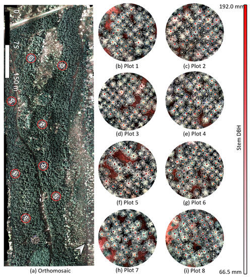 RemoteSens_MDPI's tweet photo. #LatestPaper #remotesensing
Combining Spectral, Spatial-Contextual, and Structural Information in Multispectral #UAV Data for Spruce Crown Delineation
by Aravind Harikumar, Petra D’Odorico and Ingo Ensminger
https://t.co/bkCUPIAVYQ https://t.co/VcgcOrJ8eQ