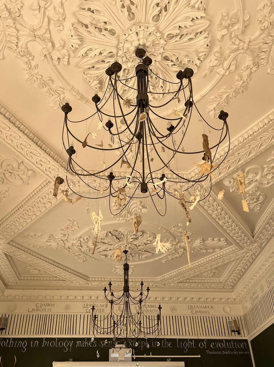 Fernando Rivadeneira tweet media