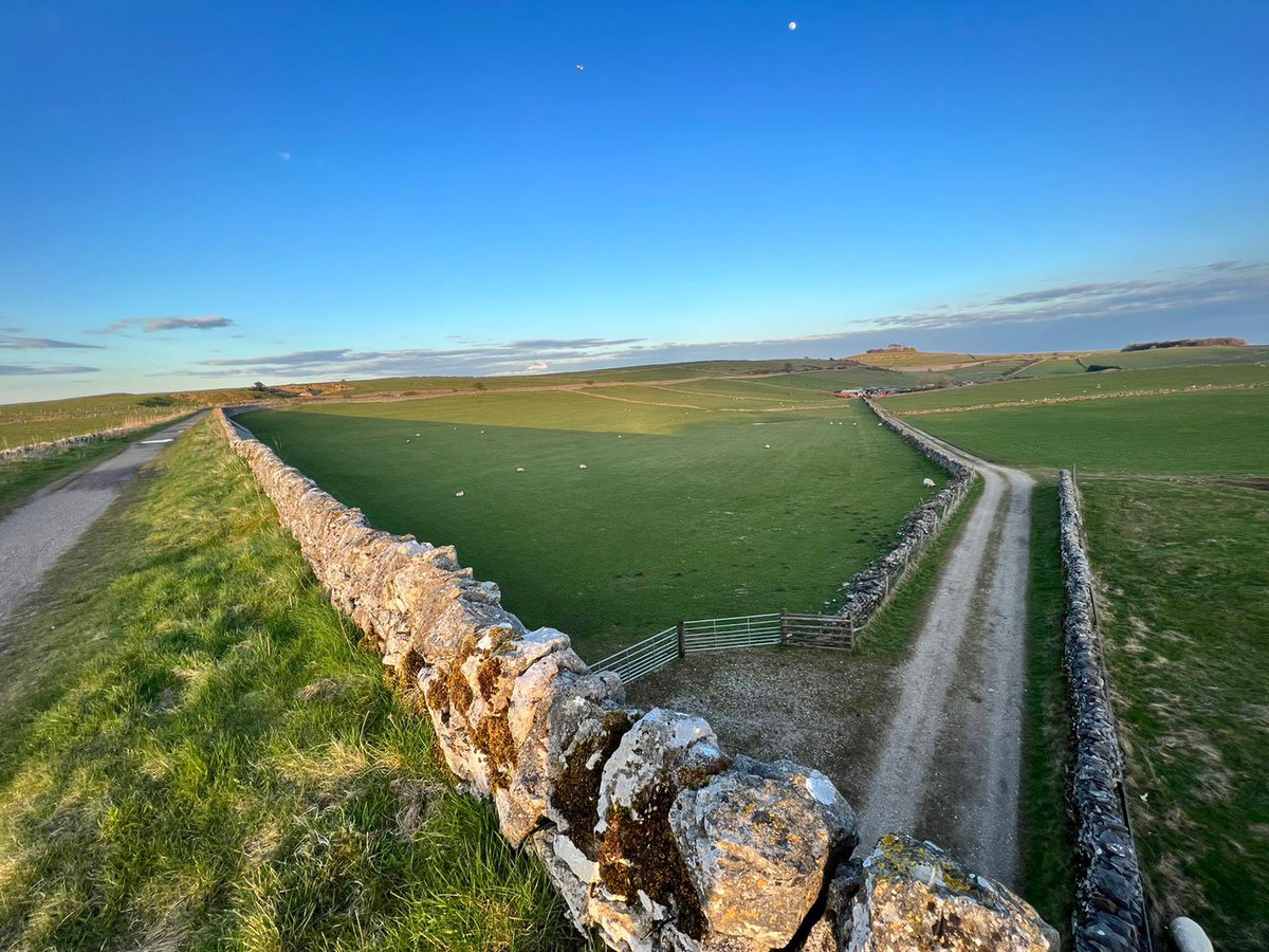 ynotfestival's tweet photo. Happy #derbyshireday to those who celebrate 🐏 https://t.co/NqBXVsKMXD