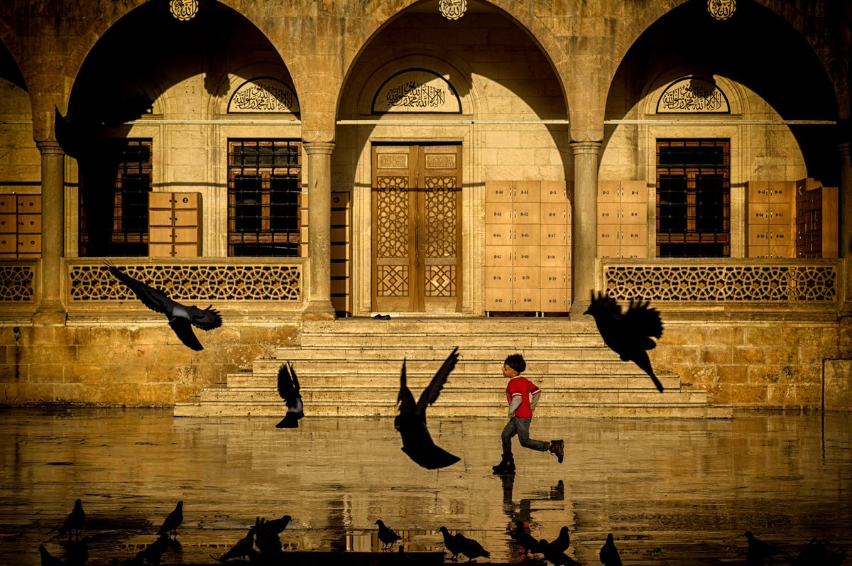 Good morning 🌍

Wings to Childhood 

When you ask what is happiness, I say here is exactly where you look.

🤍Edition 12/15 

🤍Price 0.025 eth

🤍Link 👇 

opensea.io/collection/win…