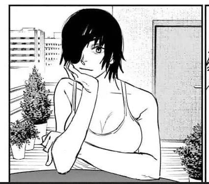 Makima fan simping the wrong woman if the size of the tits is what they cared about. 