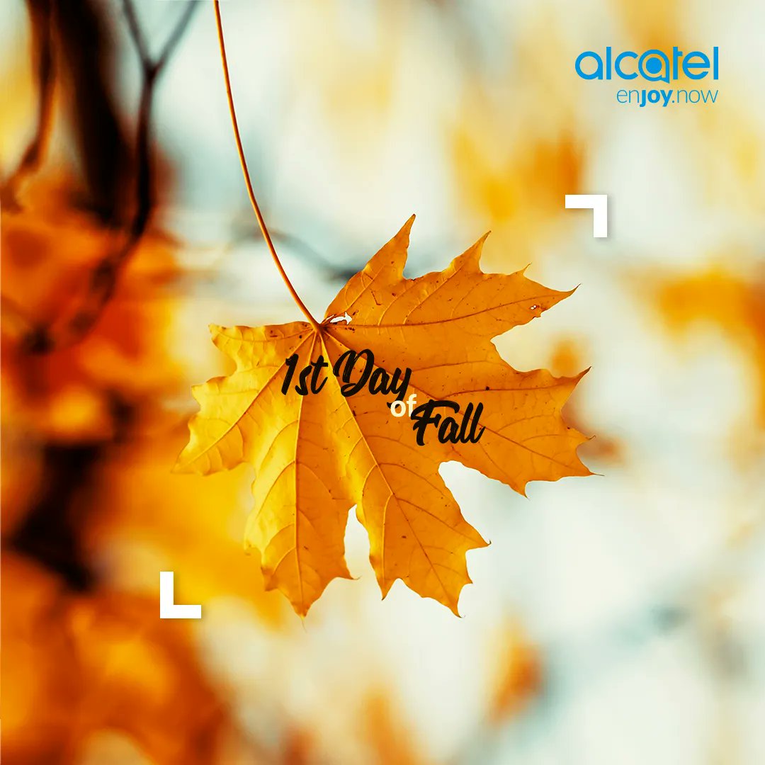 Mi color favorito es el otoño 🍂