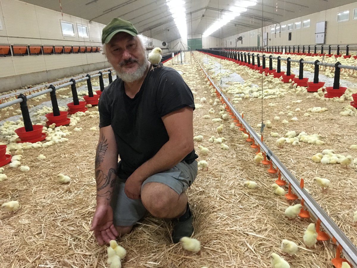 AGRI72 tweet media