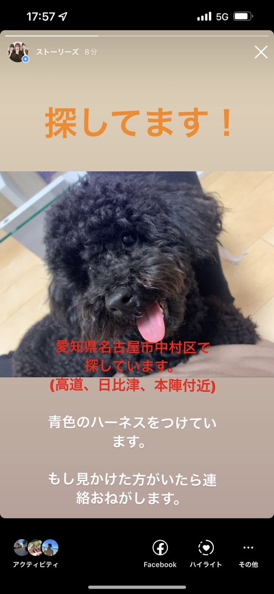 ex031227's tweet photo. 探しています！！
いまだに情報がひとつもありません。
何か知っている方、保護している方がいたら連絡をおねがいします。
拡散してください。

#迷い犬#迷子犬#黒トイプードル#オス#中村区#高道町#日比津#本陣 https://t.co/C8Ad9alJSX