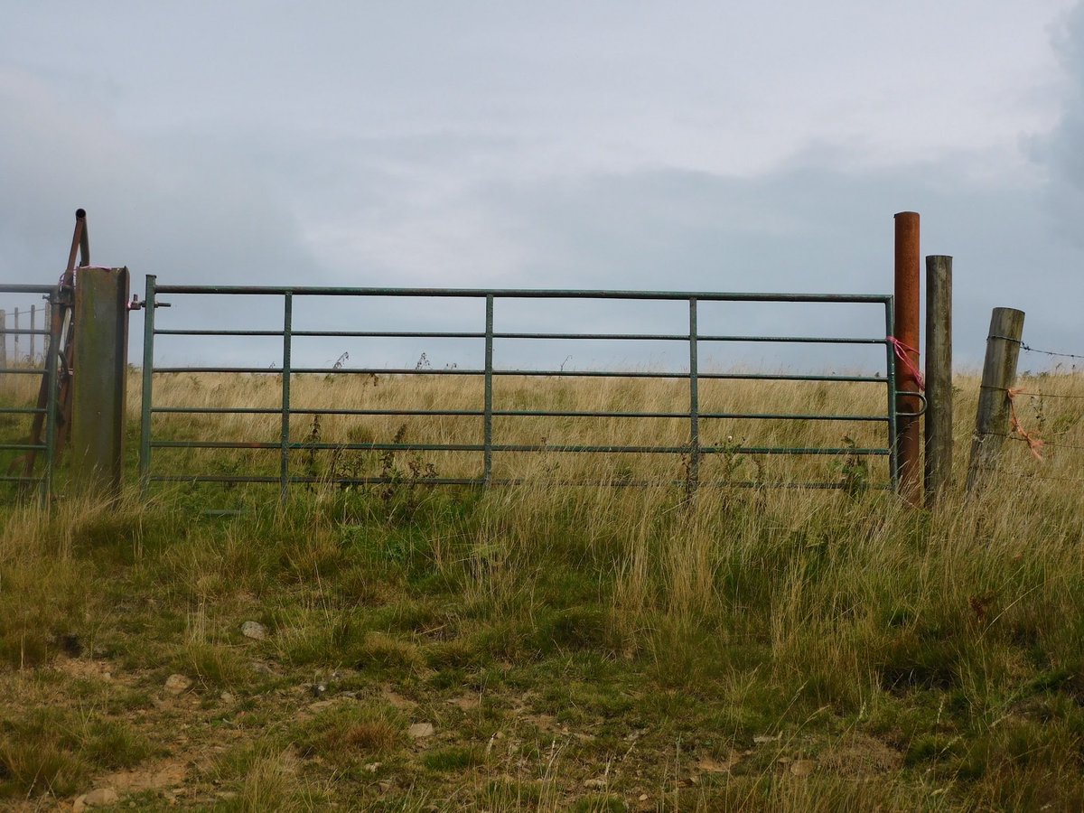 TibsJude7460's tweet photo. Two beautiful uses of baler twine, and a spare twist on the fence in case of emergencies! 😁 @HayleyhHoward  @BalerUses https://t.co/dM5f4LITWe