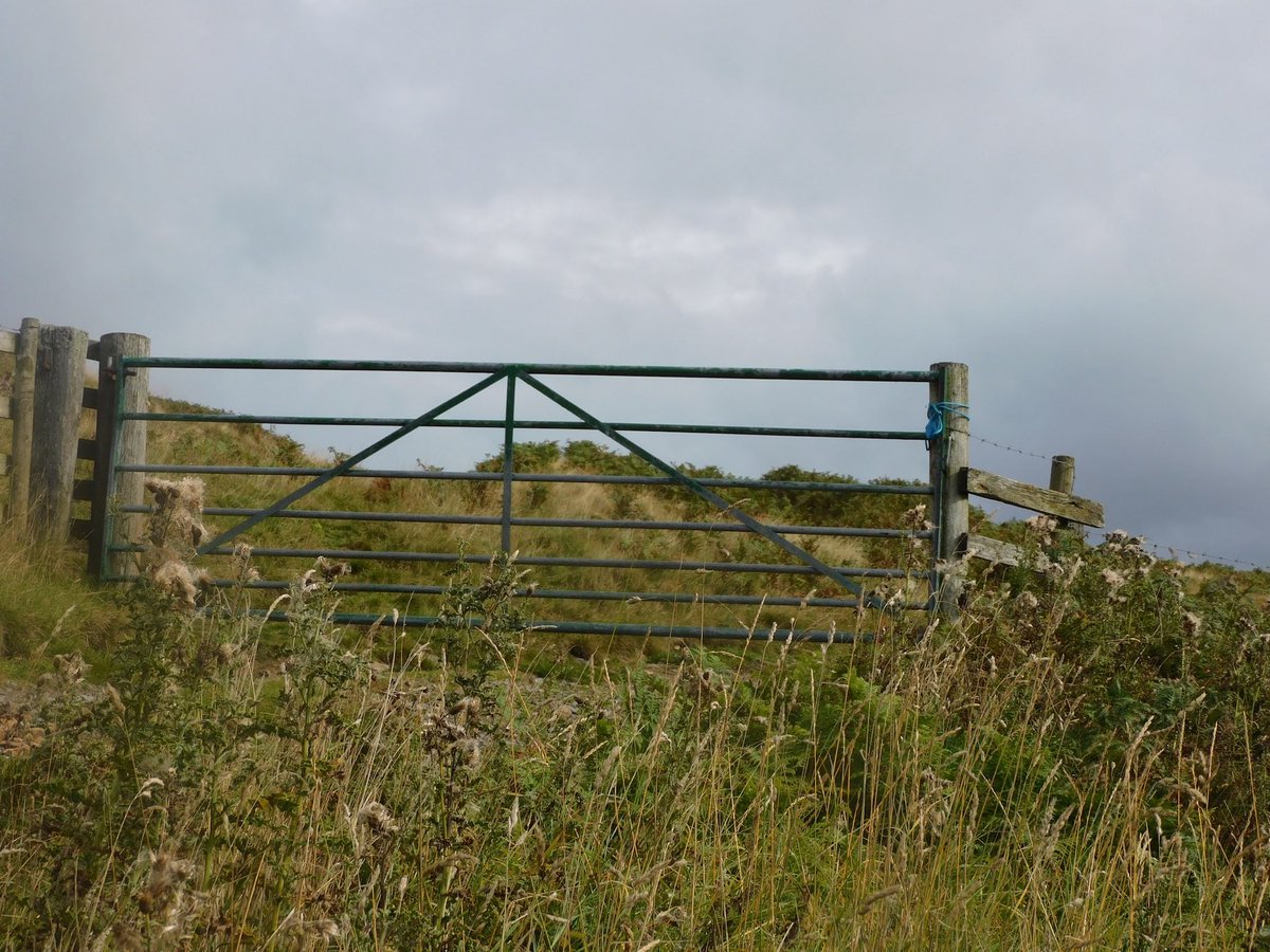 TibsJude7460's tweet photo. Two beautiful uses of baler twine, and a spare twist on the fence in case of emergencies! 😁 @HayleyhHoward  @BalerUses https://t.co/dM5f4LITWe