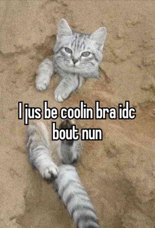 0tt1337's tweet photo. @AlbinoVEVO https://t.co/MKJuTLVo0X