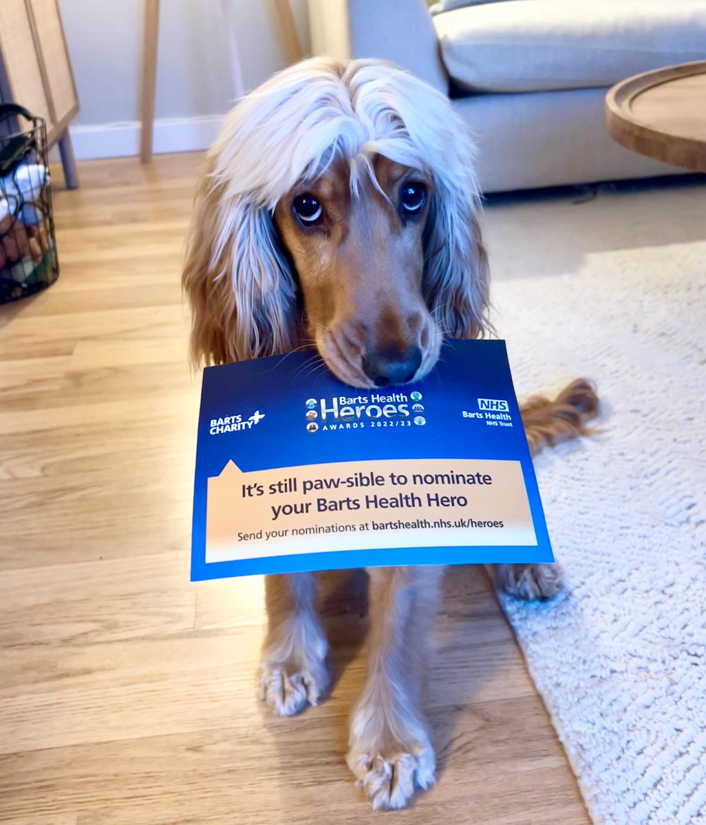 NHSBartsHealth's tweet image. I hope I'm not barking up the wrong tree, but our #BartsHealthHeroes nomination deadline for next years awards closes on 30th Sep. 

All shortlisted teams/ind are invited to our ceremony in February. What a treat!👏🏽 🐶 

To nominate, fill in our short form orlo.uk/axbzh